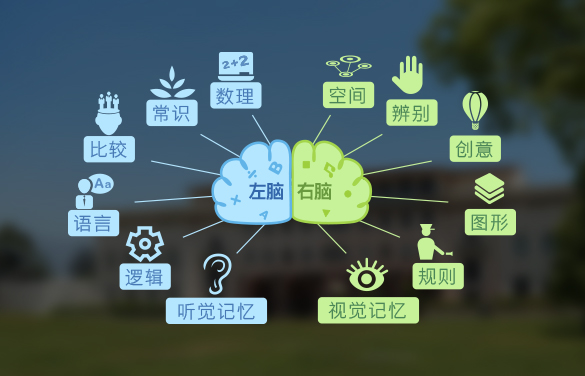 生活科普网：让科学知识变简单，解决日常难题的贴心助手